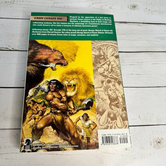 Savage Sword of Conan Dixon Kwapisz Conway Volume 16 1st Ed PB 2014 Comic Book - Picture 2 of 12